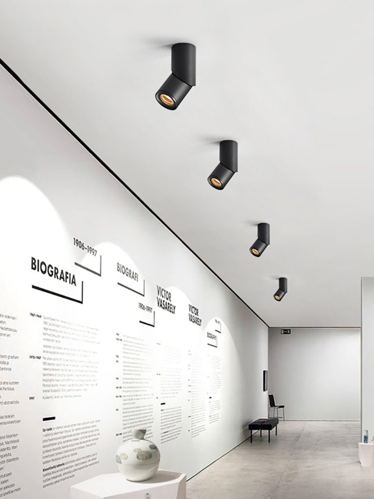 Long tube ring rotating downlight