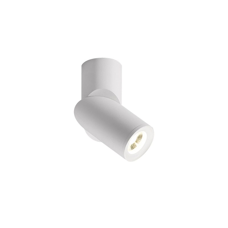 Long tube ring rotating downlight