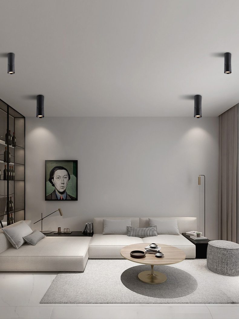 Long tube ring rotating downlight