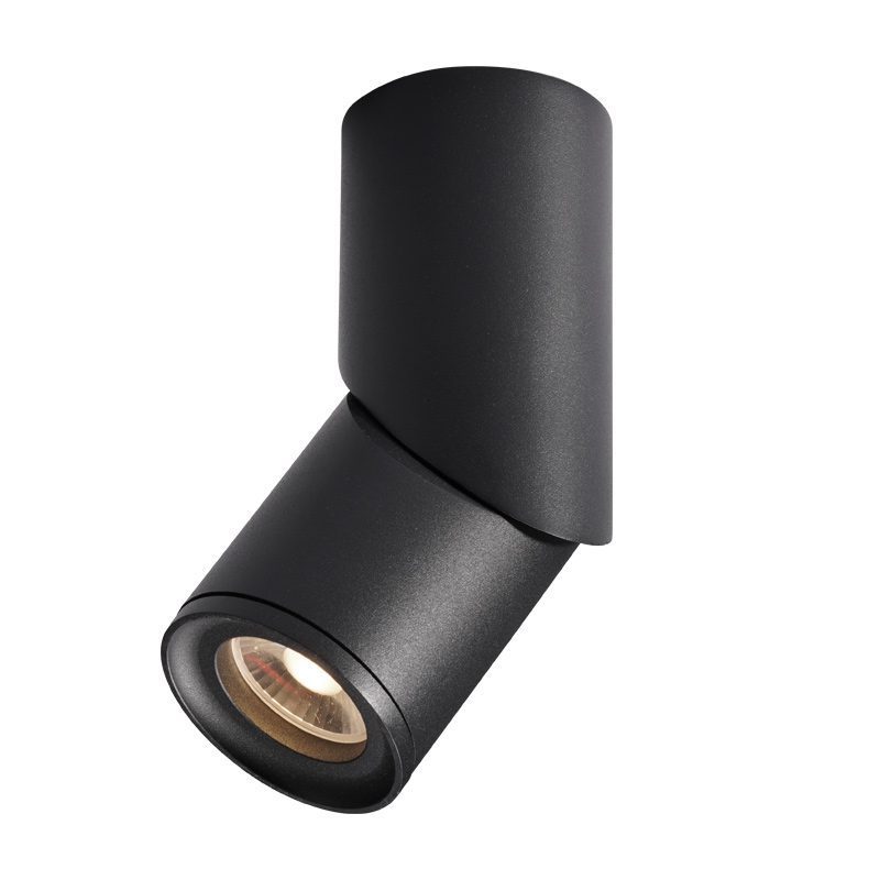 Long tube ring rotating downlight