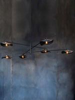 lotus-leaves-glass-chandelier