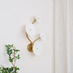 lotus-petal-wall-lamp