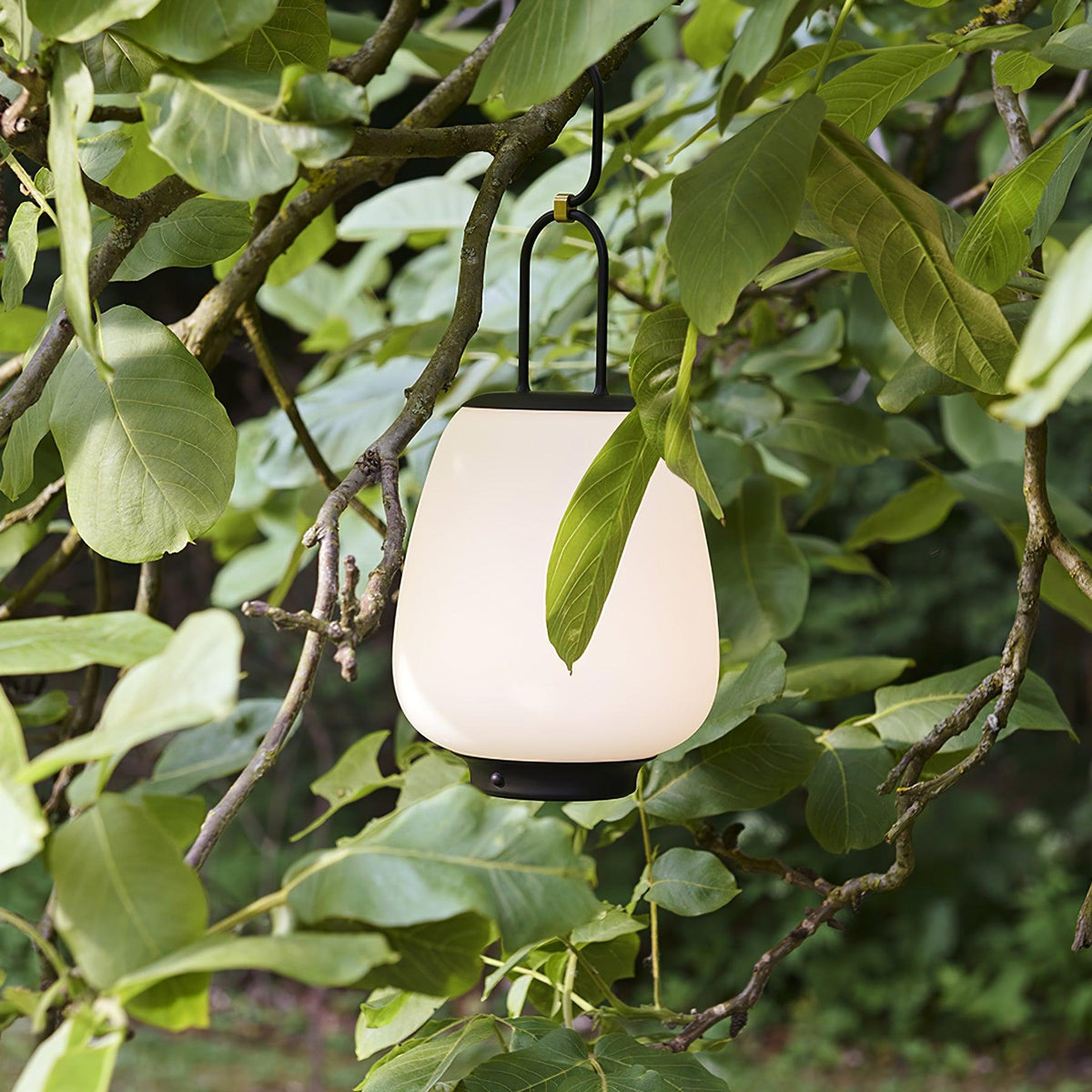 lucia-lantern-table-lamp