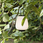 lucia-lantern-table-lamp