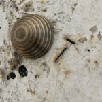 lucie-marble-plug-wall-lamp