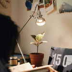 lumina-articulated-table-lamp