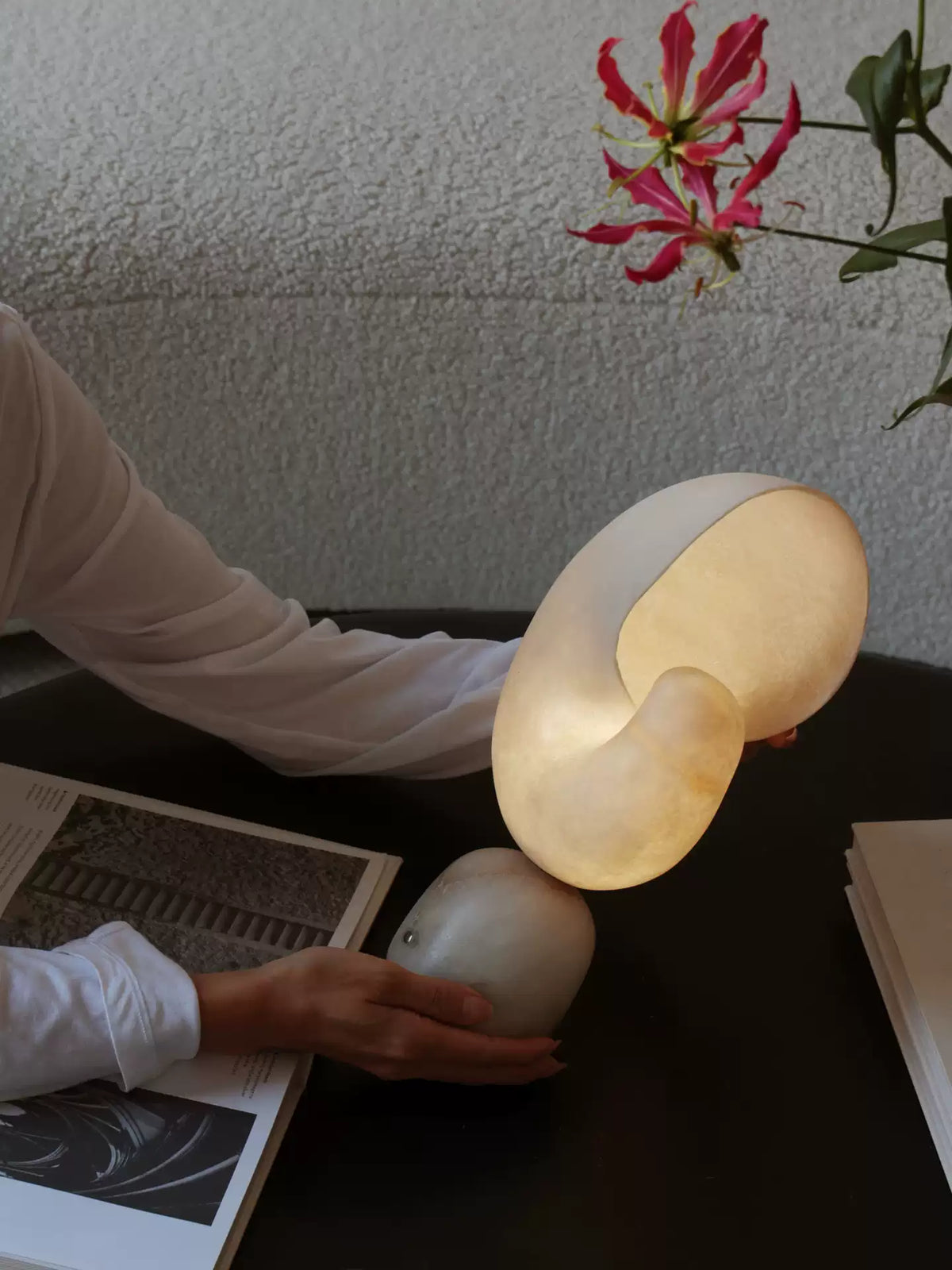 Lumora Shell Table Lamp in Alabaster and Brass by