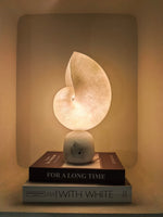Lumora Shell Table Lamp in Alabaster and Brass by