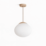 Lunora Dome Pendant Light – Frosted Glass & Wood Accent, Modern Minimalist Hanging Lamp