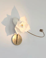 Lure Wall Light