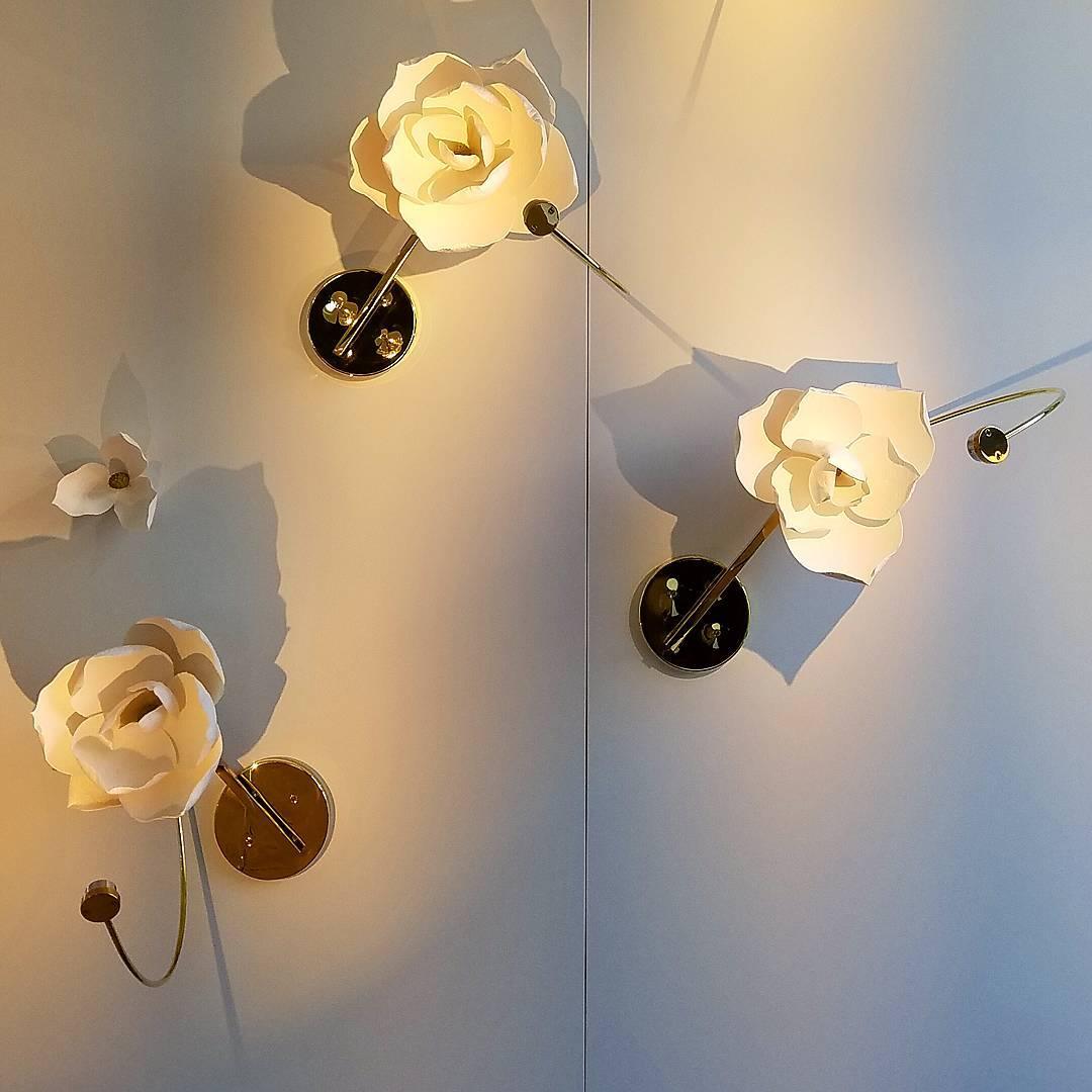 Lure Wall Light