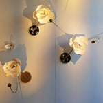 Lure Wall Light