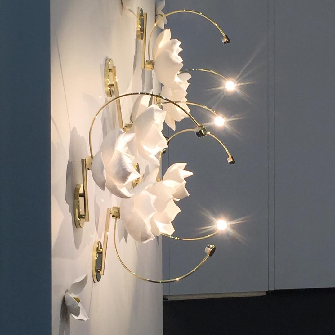 Lure Wall Light