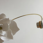 Lure Wall Light