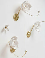 Lure Wall Light