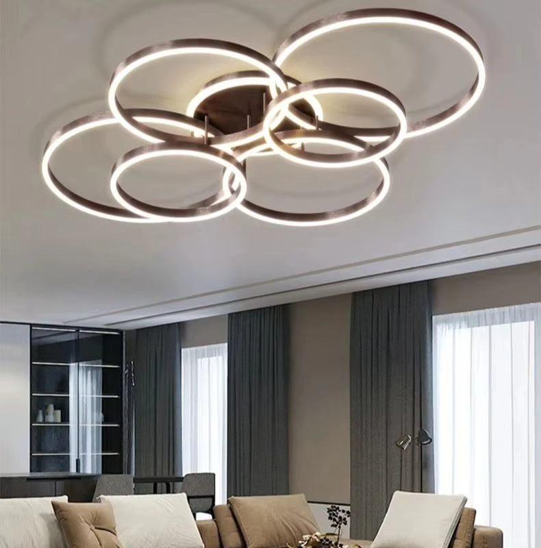 Chic Nordic Ring Ceiling Light