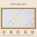 Simple Modern Nordic Style Grand Living Room Ceiling Lamp