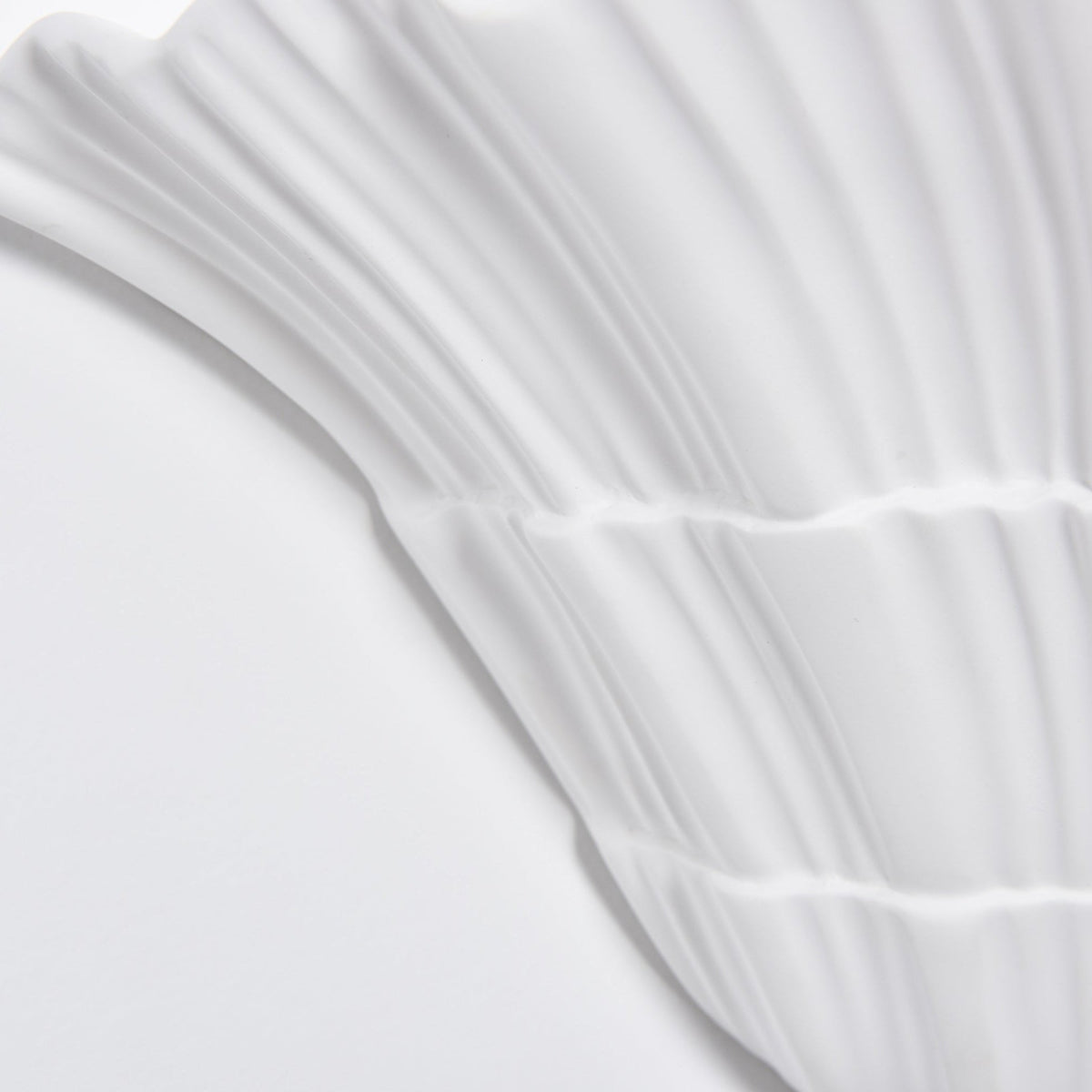 Marina Shell Wall Sconce – Sculptural Coastal Light in White
