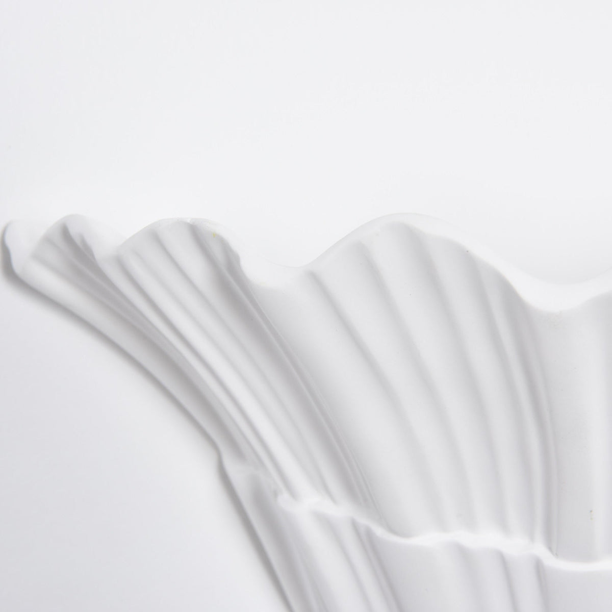 Marina Shell Wall Sconce – Sculptural Coastal Light in White