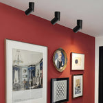 Maxwell Pivot Surface Downlight – Modern LED Ceiling Spotlight