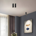 Maxwell Pivot Surface Downlight – Modern LED Ceiling Spotlight