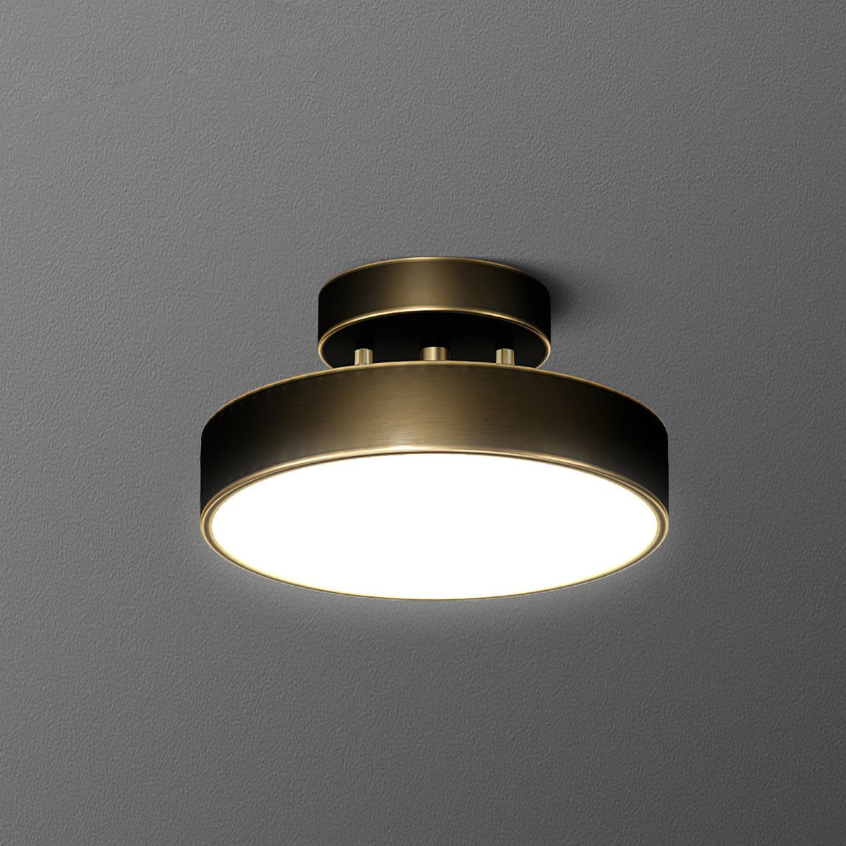 Meridian Rotatable LED Ceiling Light in Brass and Acrylic