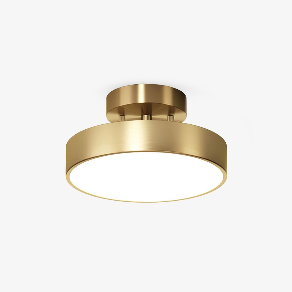 Meridian Rotatable LED Ceiling Light in Brass and Acrylic