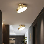 Meridian Rotatable LED Ceiling Light in Brass and Acrylic
