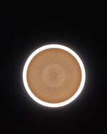 Mesh Pendant Light