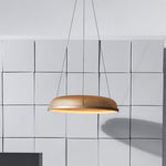 Mesh Pendant Light