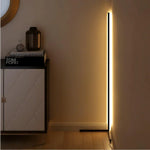 High End Full Spectrum Ceiling Lamp