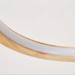 Mobius Ring Pendant Light