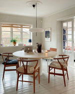 Opal Disc Modern Pendant Light with Opalescent Polymer Shade