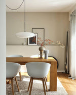 Opal Disc Modern Pendant Light with Opalescent Polymer Shade