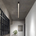 Modern Minimalist Ceiling Lamp