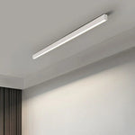 Modern Minimalist Ceiling Lamp