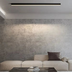 Modern Minimalist Ceiling Lamp