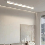 Modern Minimalist Ceiling Lamp