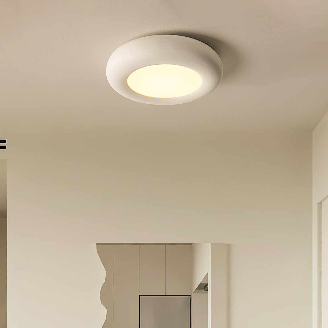 Modern Oval Ceiling Light