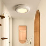 Modern Oval Ceiling Light