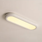 Modern Oval Ceiling Light