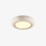 Modern Oval Ceiling Light
