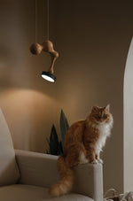 Molecule Wooden Pendant Light – Handcrafted LED Pendant for Modern Interiors