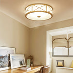 montpelier-ceiling-light