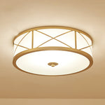 montpelier-ceiling-light