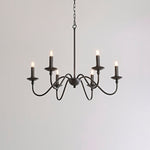mrhyswd-black-chandelier