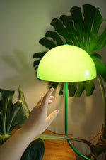 Mung Bean Sprouts Table Lamp