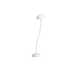 Mung Bean Sprouts Table Lamp