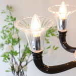 Black Iron Candle Chandelier with Clear Glass Shades for Dining Room and Living Room