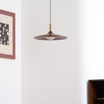 Crane Swing Arm Pendant Light – Modern LED Pendant Lamp with Brass Accents
